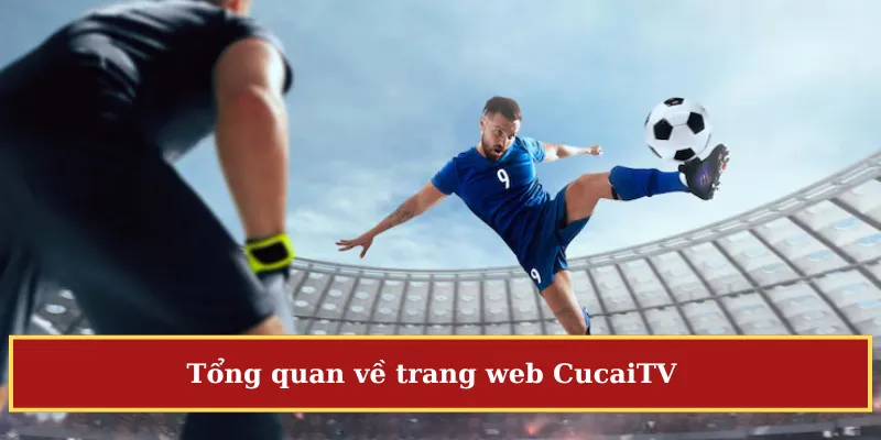 CucaiTV