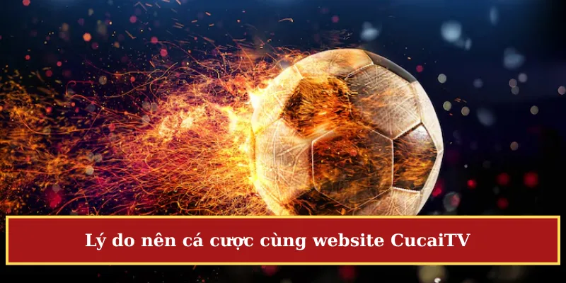 CucaiTV