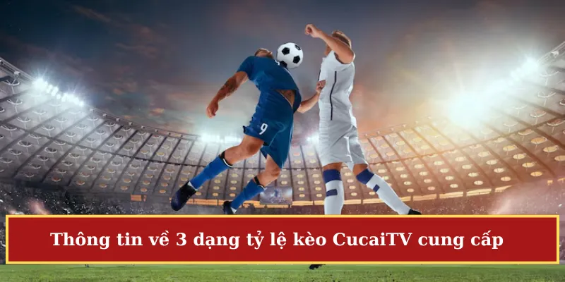 cược chính trong CucaiTV