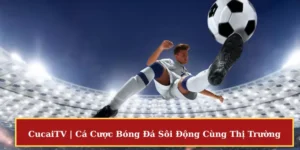 CucaiTV