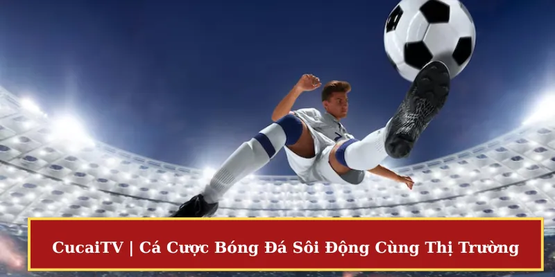 CucaiTV