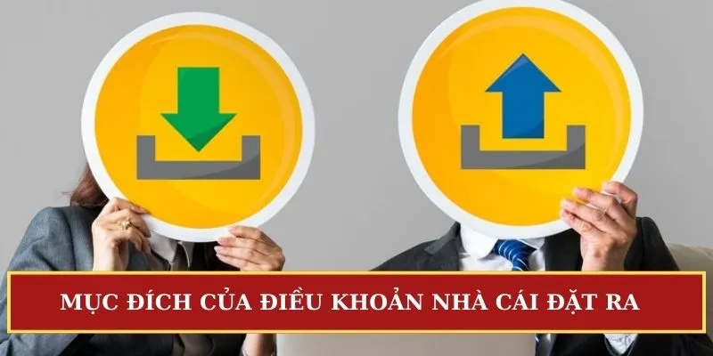 Điều kiện điều khoản Sbobet