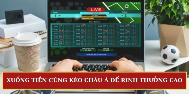micaytv