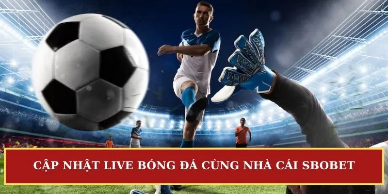 live bóng đá