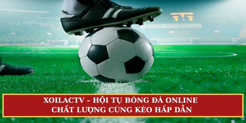 xoilactv